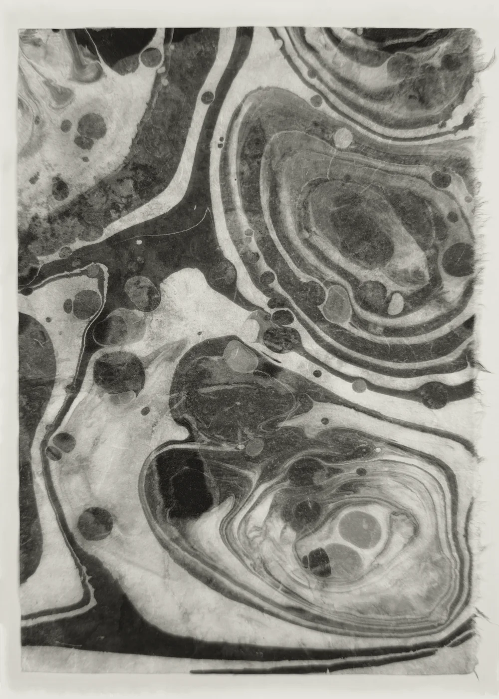 Suminagashi monoprint with disrupted circular forms in black ink