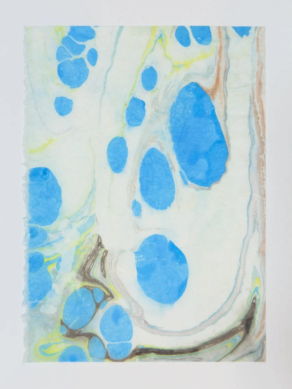 Paper marbling monoprint with stylus-directed color currents on carrageenan size, diptych right