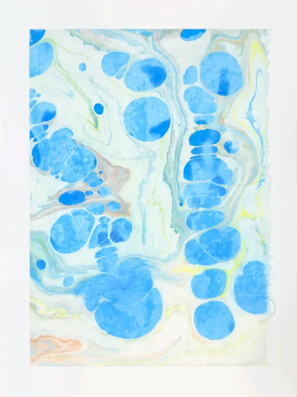 Blue circular pools of varying sizes scattered across pale green ground