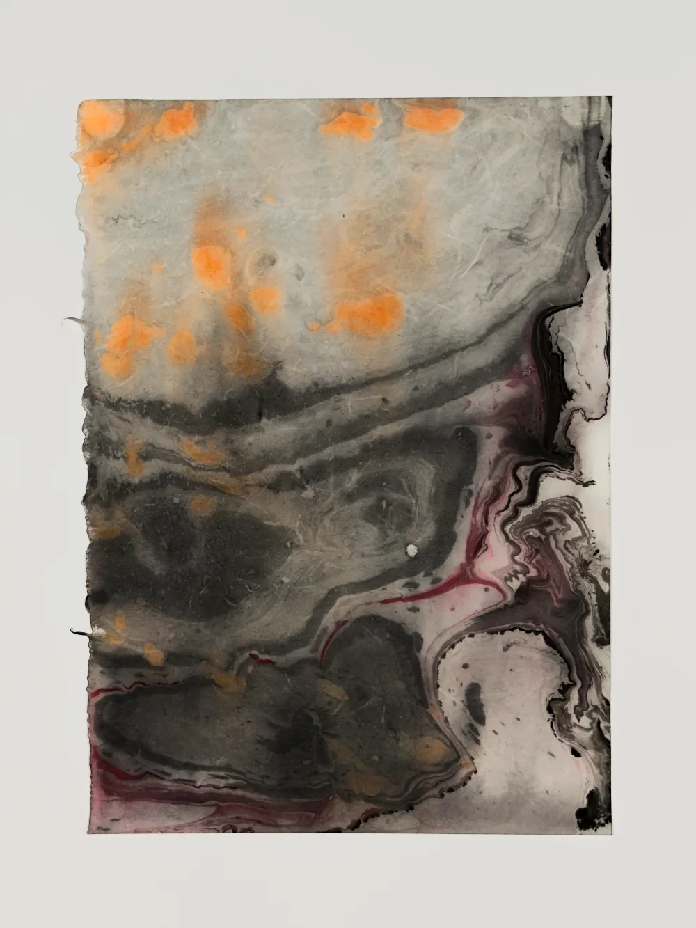 Translucent ink monotype diptych with geological strata-like concentric forms, right half