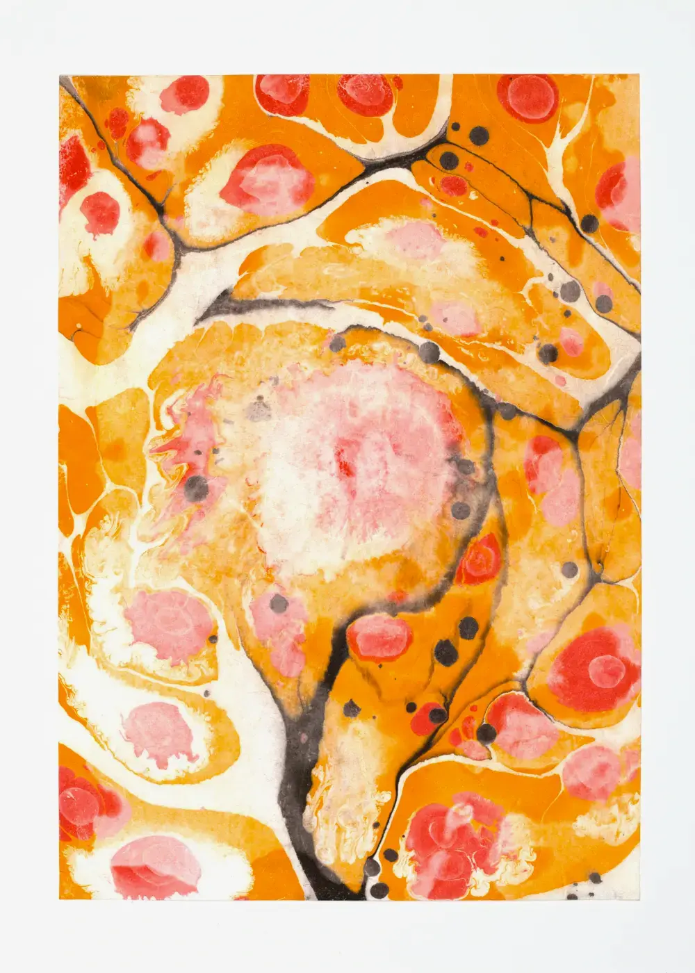 Orange petal shapes with pink centers around a larger blush-and-apricot form, like peach blossoms pressed into paper