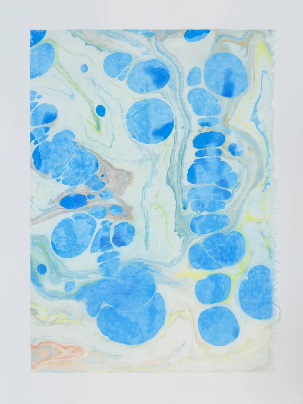 Paper marbling monotype with stylus-directed color currents on carrageenan size, diptych left