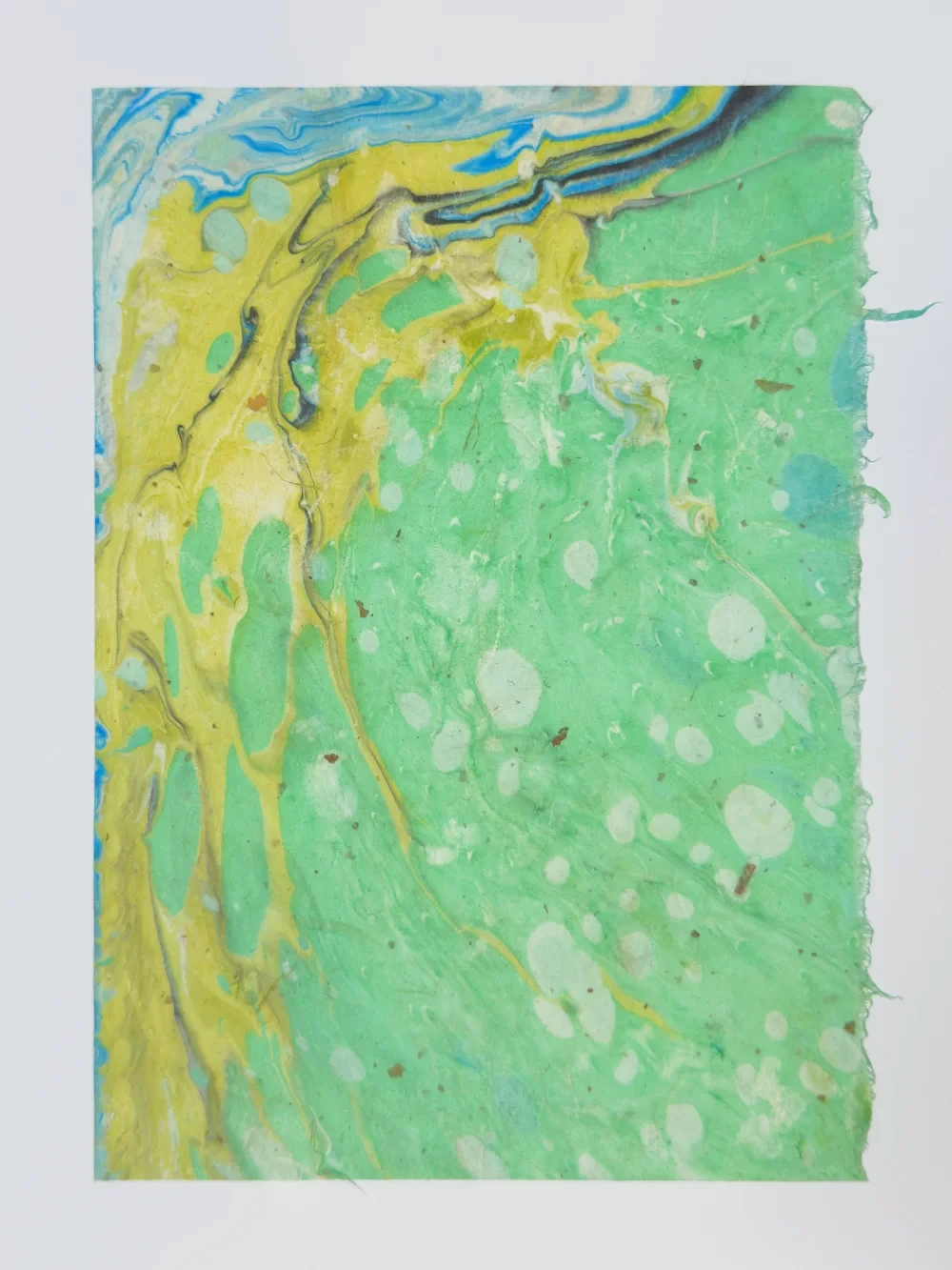 Monotype with alcohol-disrupted ink and topological color pools, diptych left