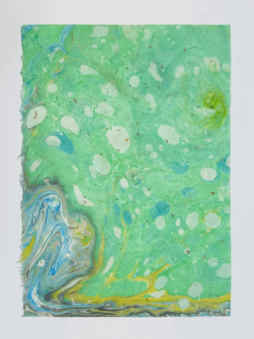 Monotype with alcohol-disrupted ink and topological color pools, diptych right