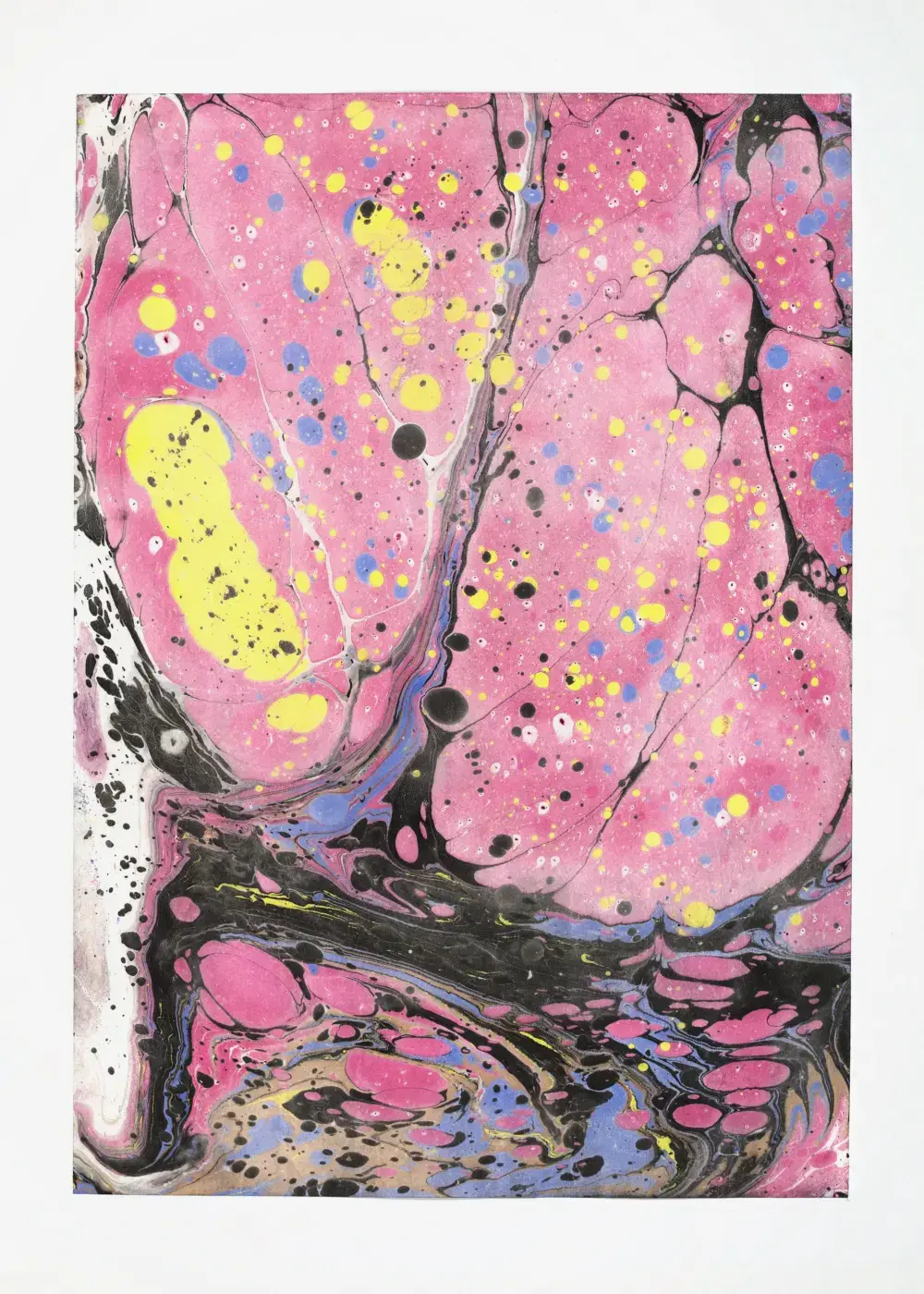 Large pink cellular masses speckled with yellow and blue droplets, a dark marbled band running along the bottom edge