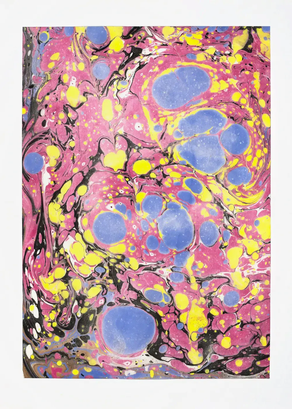 Blue circular pools embedded in a pink and yellow droplet field, dense black veining binding the cells together