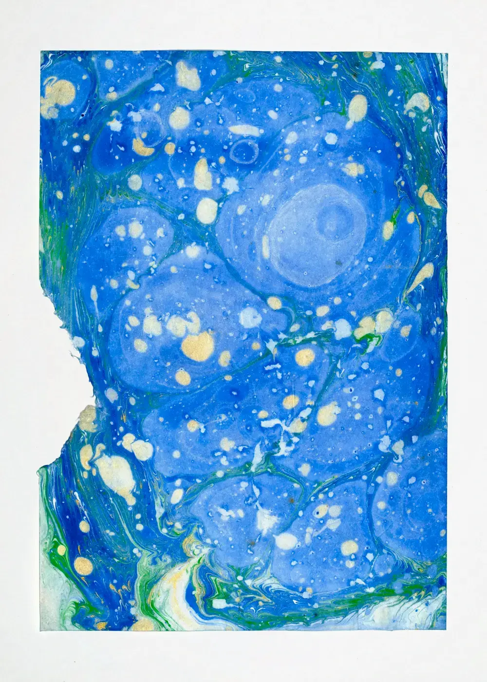 Cobalt cellular clusters with a jagged torn edge at upper left revealing cream washi, green veins and flecks of gold threading the lower portion