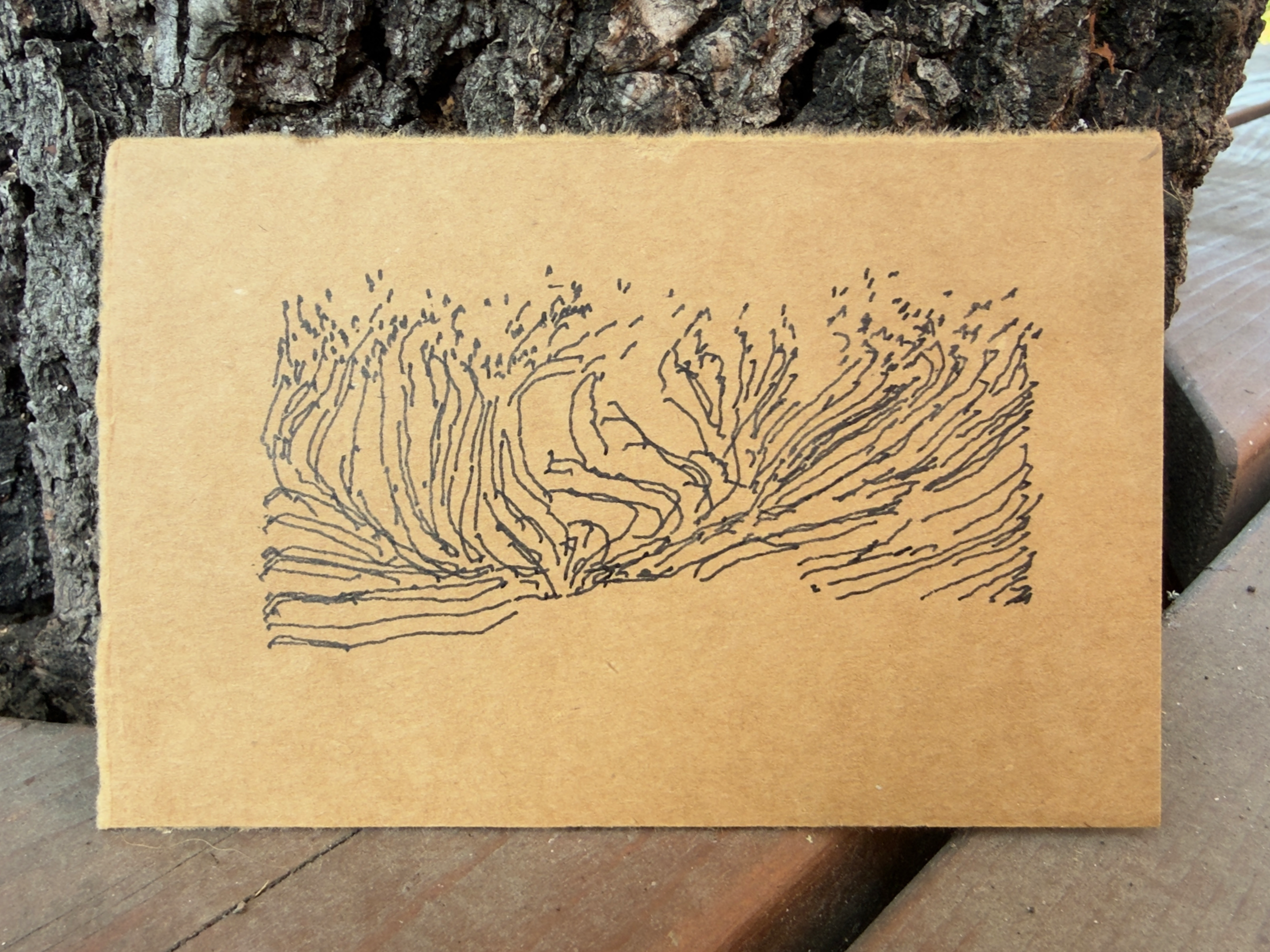Work the Wobble: Drawing with Line-us