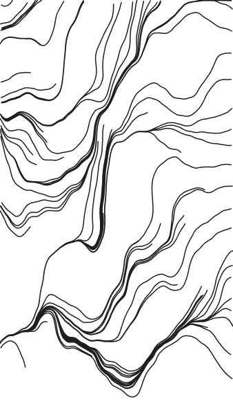 Drift Contours haiku-loop Round 6 — flow-field with a repulsion zone producing the 'place where nothing was'
